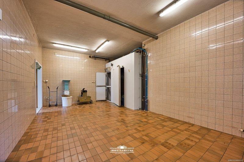 Ihre Investment-Chance - bis zu 1000 m2 WNFl�che - Fairer Preis! Bebauungsstudie inklusive. /  / 4850&nbsp;Timelkam / Bild 8