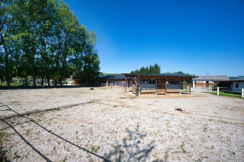 Reiterhof. Vierkanter. Wirtshaus. Zimmervermietung. Wohnungen. Natur. /  / 4452 Ternberg / Bild 2
