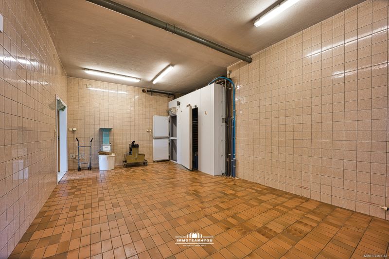 Wohn- und Geschftshaus mit Potenzial - Ideal fr Investoren, Unternehmer und Bautrger - Nutzflche 1169 m2 /  / 4850 Timelkam / Bild 9