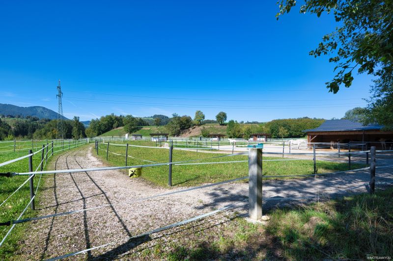 Reiterhof. Vierkanter. Wirtshaus. Zimmervermietung. Wohnungen. Natur. /  / 4452 Ternberg / Bild 8