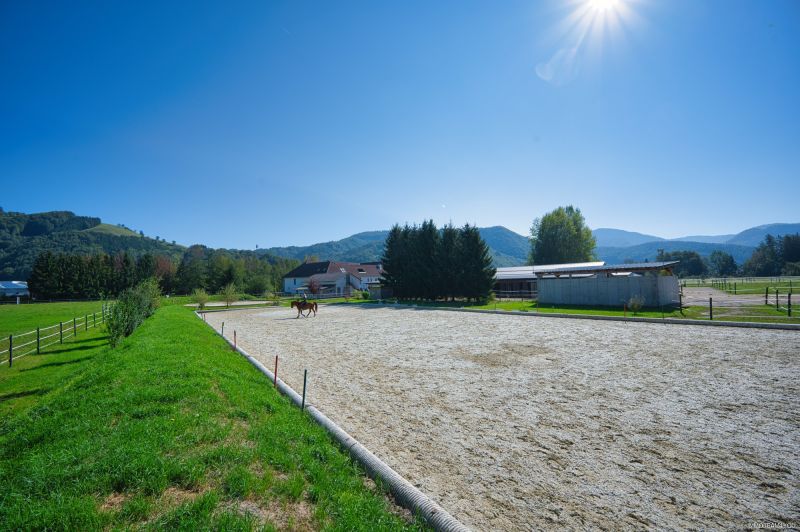 Reiterhof. Vierkanter. Wirtshaus. Zimmervermietung. Wohnungen. Natur. /  / 4452 Ternberg / Bild 5