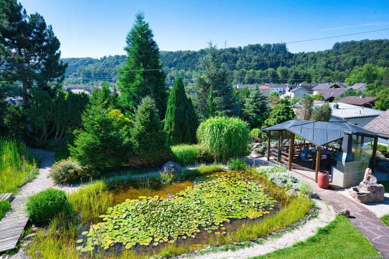 Exklusivit�t und Privatsph�re pur auf 2.610 m2 Grundfl�che! Von der Terrasse in den Schwimmteich. /  / 4840&nbsp;V�cklabruck / Bild 4