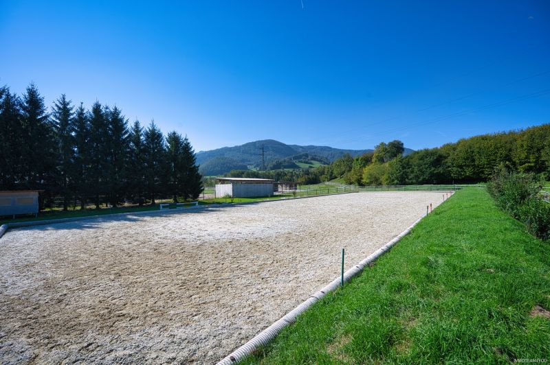 Reiterhof. Vierkanter. Wirtshaus. Zimmervermietung. Wohnungen. Natur. /  / 4452 Ternberg / Bild 4