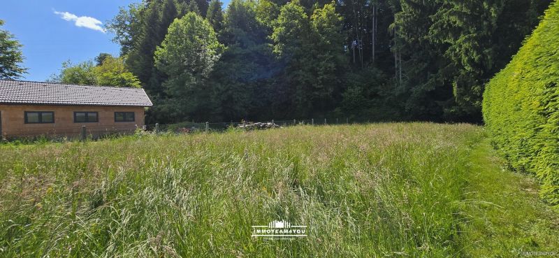 Baugrundstck mit groem Garten /  / 4800 Attnang-Puchheim / Bild 1