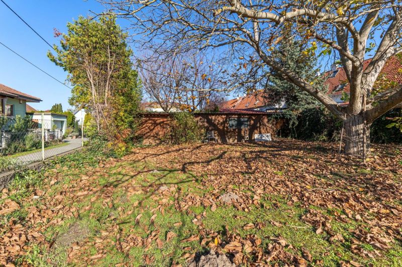 ++ Sonniges 1.099 m² Baugrundstück mit Teilungsmöglichkeit in 1210 Wien! ++ / / 1210 Wien / Bild 5