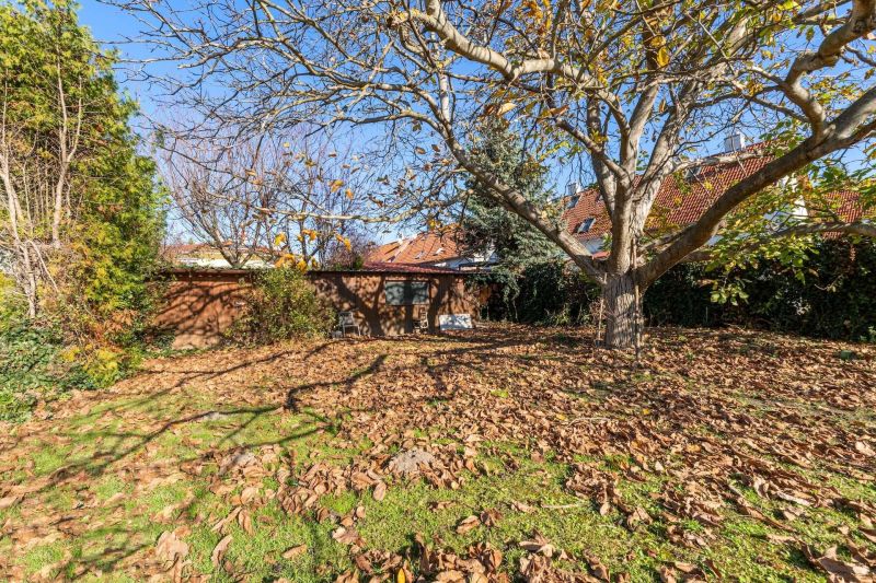 ++ Sonniges 1.099 m² Baugrundstück mit Teilungsmöglichkeit in 1210 Wien! ++ / / 1210 Wien / Bild 6