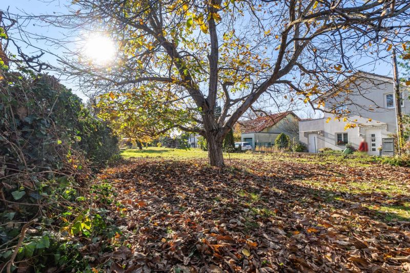 ++ Sonniges 1.099 m² Baugrundstück mit Teilungsmöglichkeit in 1210 Wien! ++ / / 1210 Wien / Bild 9