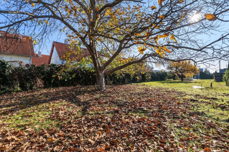 ++ Sonniges 1.099 m² Baugrundstück mit Teilungsmöglichkeit in 1210 Wien! ++ / / 1210 Wien / Bild 8