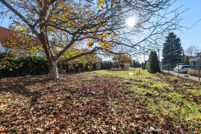 ++ Sonniges 1.099 m² Baugrundstück mit Teilungsmöglichkeit in 1210 Wien! ++ / / 1210 Wien / Bild 1