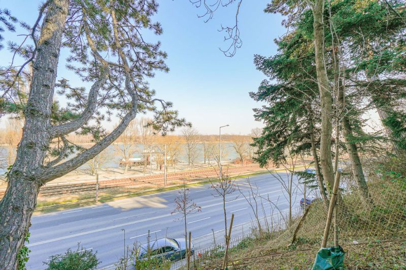 Raritt in 1190 Wien: Baugrundstck mit Sommerhaus und Donaublick! /  / 1190 Wien / Bild 3