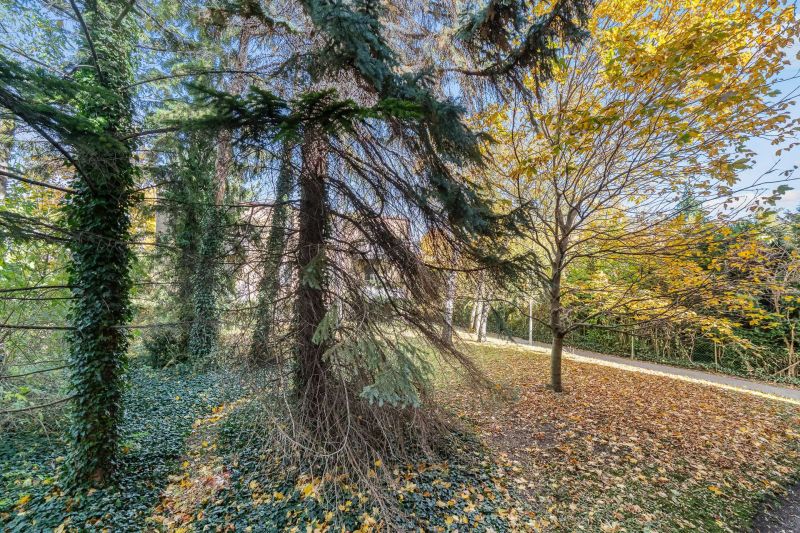 ++ Einziehen und wohlfühlen ++ Sanierte und vollmöblierte 3-Zimmer-Wohnung mit Loggia nahe U6 / / 1230 Wien / Bild 6