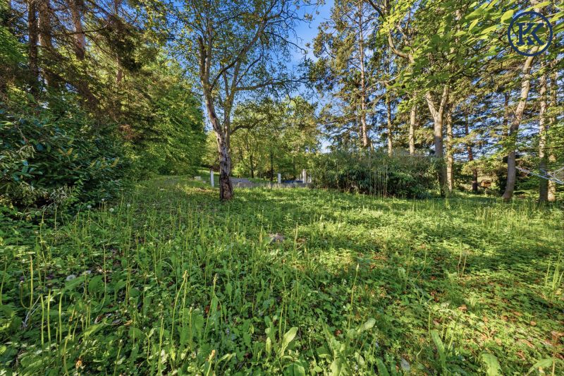 Ist es m�glich, drei H�user auf dem Grundst�ck zu errichten /  / 2102&nbsp;Hagenbrunn / Bild 9