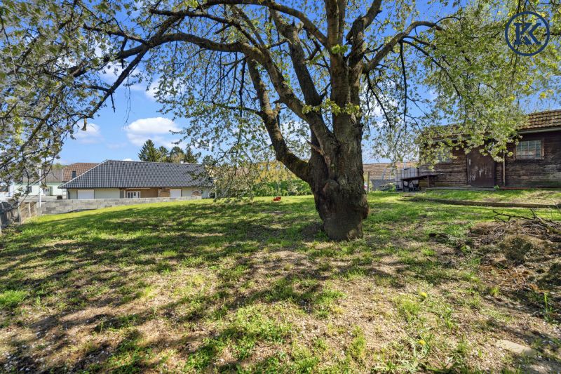  /  / 2014&nbsp;Dietersdorf / Bild 4