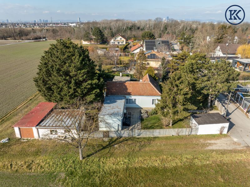 Charmantes Bungalow mit Pool, groes Potenzial /  / 1220 Wien, Donaustadt / Wien 22., D / Bild 2