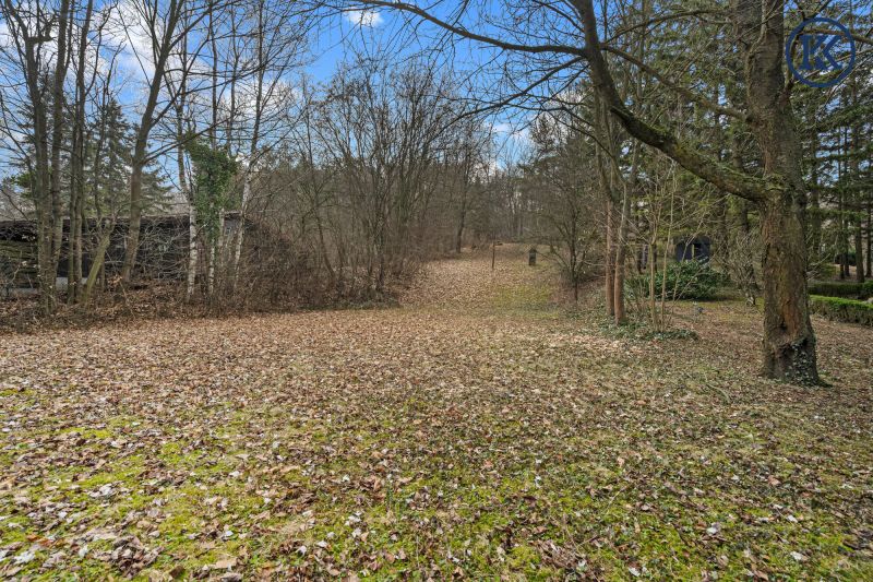 Wo die Seele ihr Zuhause findet: Ein Kunstwerk zwischen Wald und Wien /  / 2102&nbsp;Hagenbrunn / Bild 6