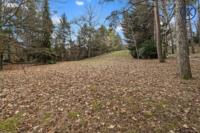Wo die Seele ihr Zuhause findet: Ein Kunstwerk zwischen Wald und Wien /  / 2102&nbsp;Hagenbrunn / Bild 2