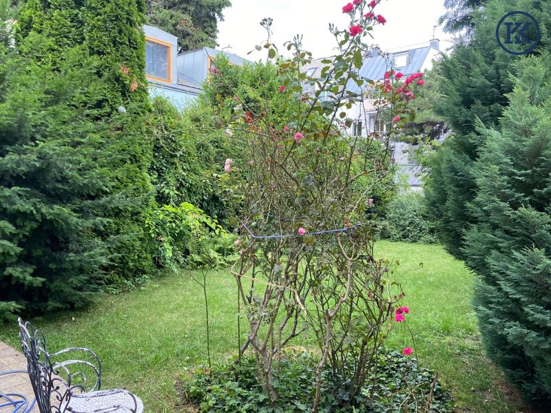 Zinshaus oder Einfamilienhaus in Top-Lage ? Sofort verfgbar /  / 1180 Wien, Whring / Wien 18., Whr / Bild 3