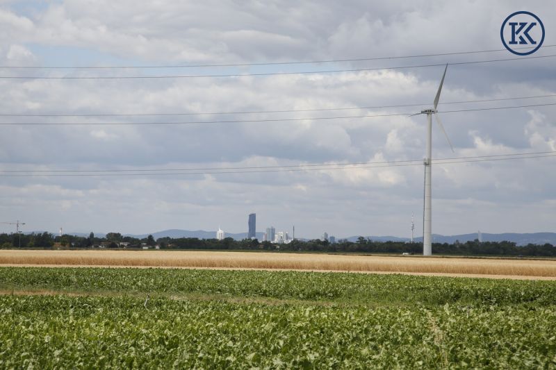 Ein Haus f�r kreative K�pfe /  / 1220&nbsp;Wien, Donaustadt / Wien 22., D / Bild 1