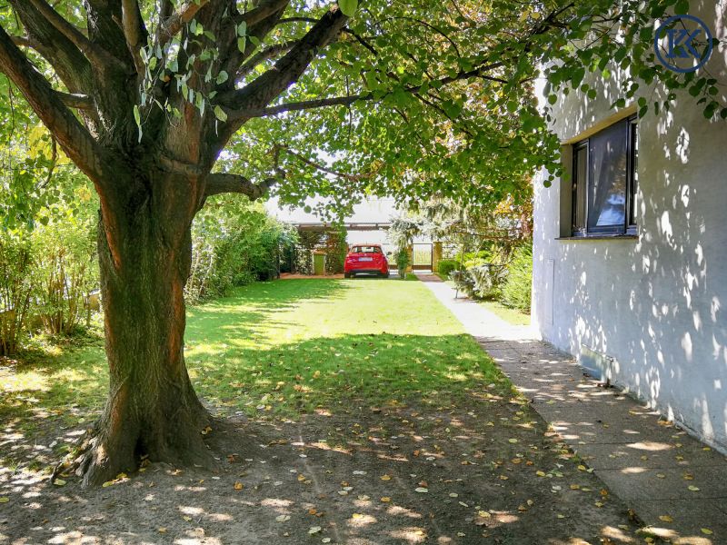 Ein Haus f�r kreative K�pfe /  / 1220&nbsp;Wien, Donaustadt / Wien 22., D / Bild 3