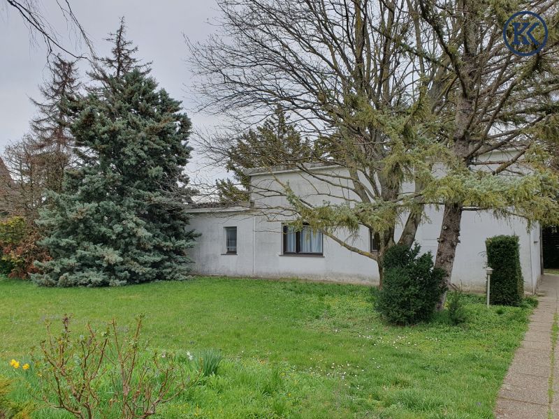 Ein Haus f�r kreative K�pfe /  / 1220&nbsp;Wien, Donaustadt / Wien 22., D / Bild 6