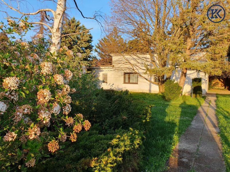 Ein Haus f�r kreative K�pfe /  / 1220&nbsp;Wien, Donaustadt / Wien 22., D / Bild 4