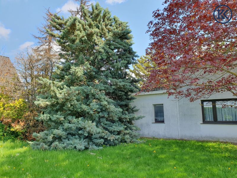 Ein Haus f�r kreative K�pfe /  / 1220&nbsp;Wien, Donaustadt / Wien 22., D / Bild 5