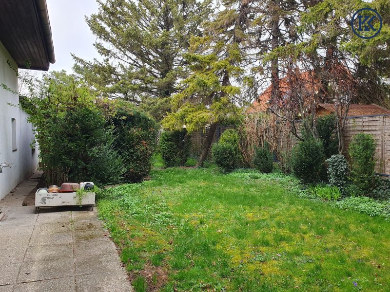 Ein Haus f�r kreative K�pfe /  / 1220&nbsp;Wien, Donaustadt / Wien 22., D / Bild 8