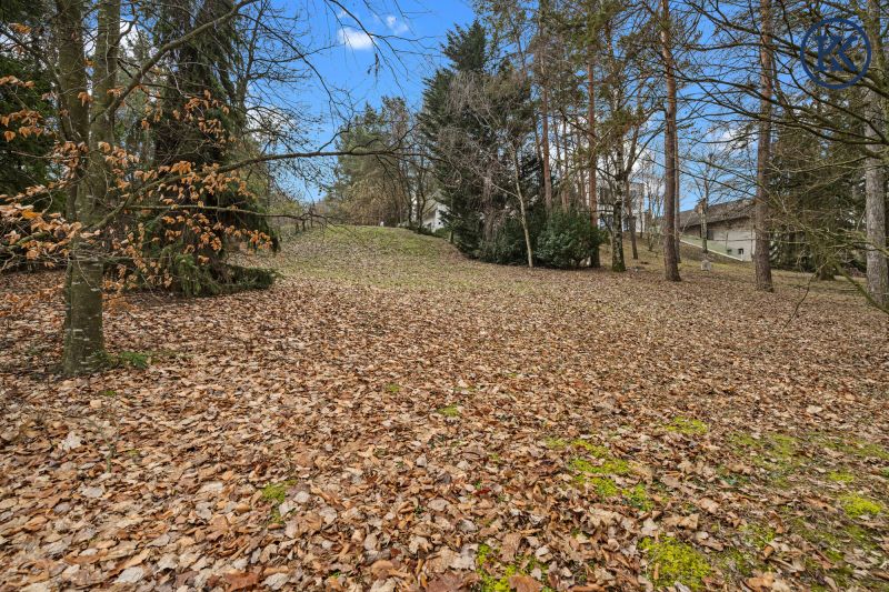 Ist es m�glich, drei H�user auf dem Grundst�ck zu errichten /  / 1210&nbsp;Wien 21., Floridsdorf / Bild 3