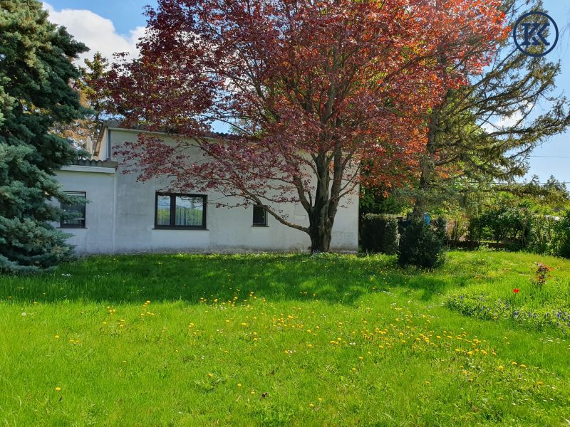  /  / 1220&nbsp;Wien, Donaustadt / Wien 22., D / Bild 5