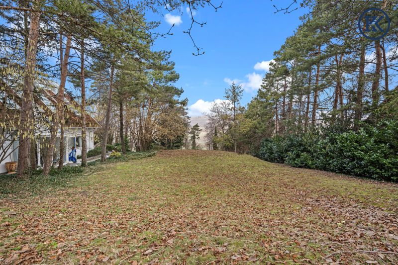 Wo die Seele ihr Zuhause findet: Ein Kunstwerk zwischen Wald und Wien /  / 2102&nbsp;Hagenbrunn / Bild 5