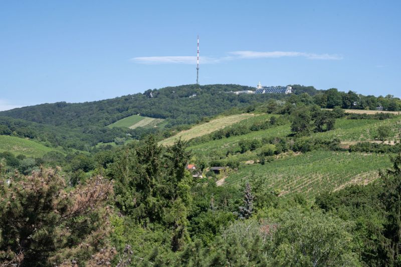 Hochwertige Eigentumswohnung in D�blinger Bestlage /  / 1190&nbsp;Wien, D�bling / Bild 9