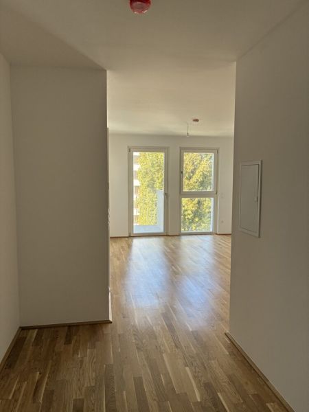 NordGlück - Raumwunder mit Struktur - 2 Zimmer, clever geplant - TOP 01-067 /  / 1210 Wien / Bild 3