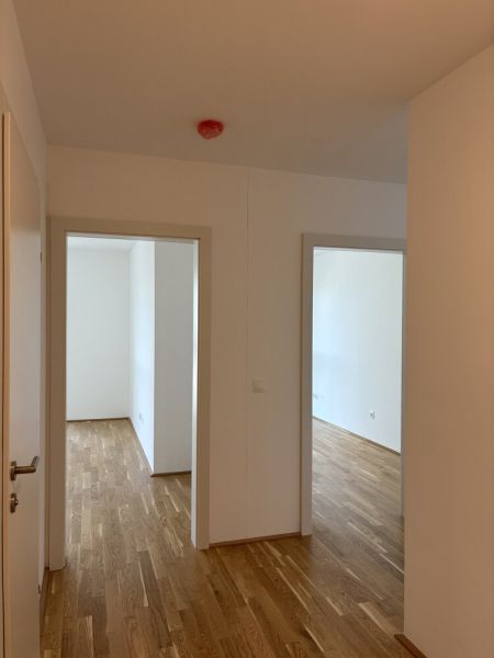 *Aktion - Kompakte 3-Zimmer-Wohnung - Ideal aufgeteilt, zum fairen Preis - TOP 01-065 / / 1210 Wien / Bild 7