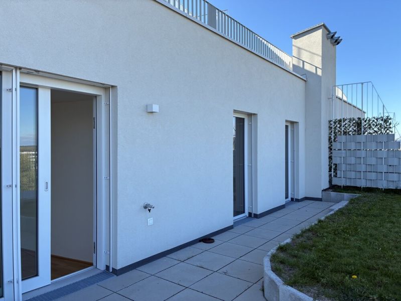 *Aktion - Gärtnern im 5. Stockwerk - Top 01-063 / / 1210 Wien / Bild 5