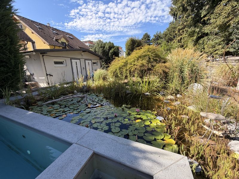 Traumhaus mit Pool / / 2700 Wiener Neustadt / Bild 11