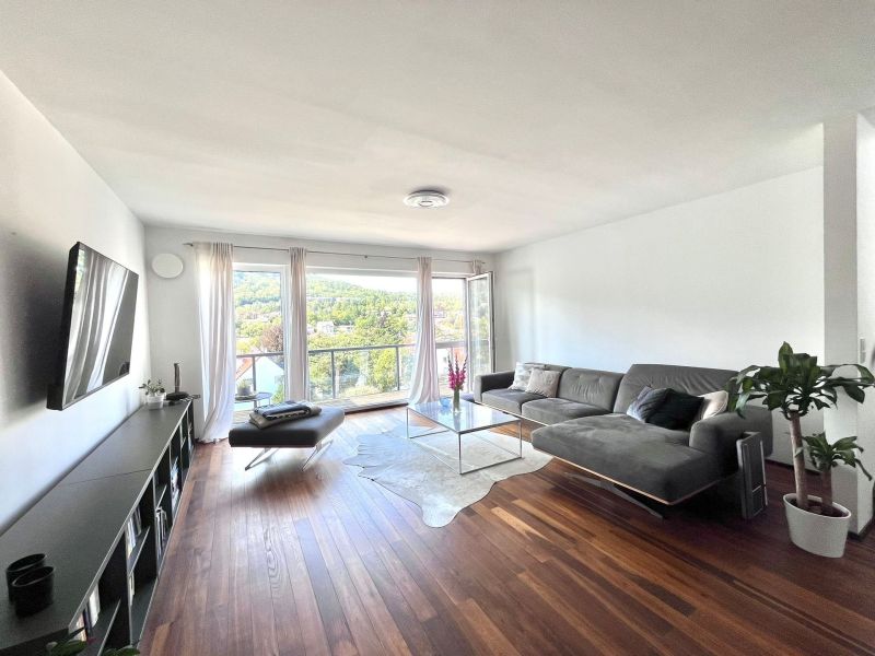 Luxurises Dachgescho-Paradies in Hinterbrhl, 130m Garten und 100m Dachterasse /  / 2371 Hinterbrhl / Bild 8