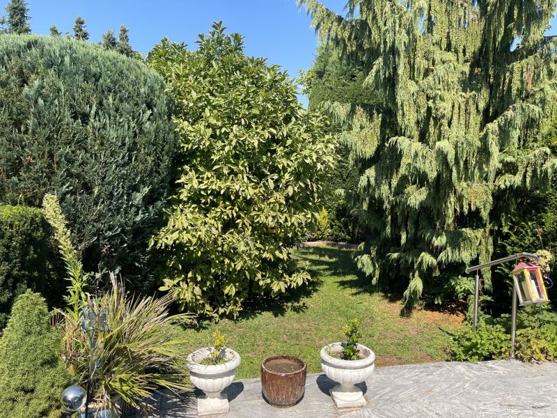 Viel Platz und ein wunderschner Garten, alles was man bentigt um sich wohl zu fhlen. /  / 2630 Ternitz / Pottschach / Bild 3