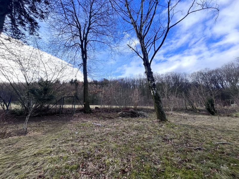 Schönes Einfamilienhaus mit Gartenparadies / / 2393 Sparbach / Bild 11