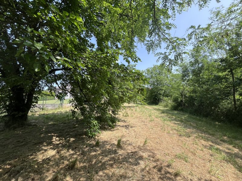 Grundstck mit Altbestand /  / 2413 Edelstal / Bild 12