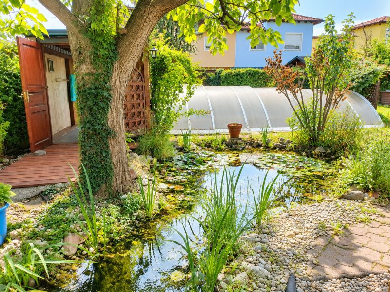 Charmantes Einfamilienhaus inkl. Pool, Sauna u.v.m. / / 2525 Günselsdorf / Bild 2