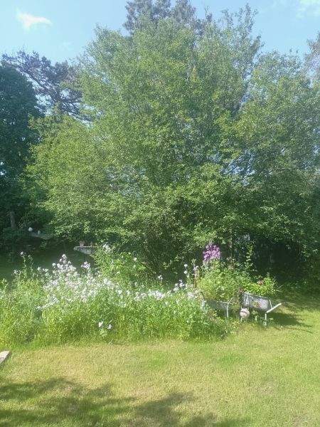 Natur pur , tolles Haus /  / 2345&nbsp;Brunn am Gebirge / Bild 3