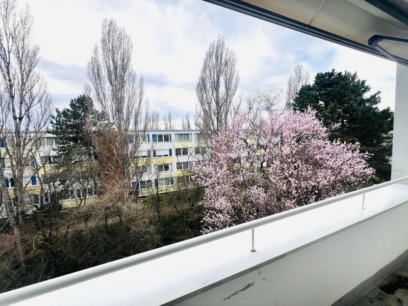  /  / 2344&nbsp;Maria Enzersdorf / Bild 8