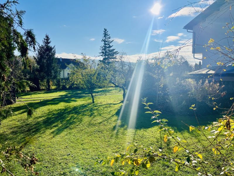 Mehrzweckhaus in guter Lage. /  / 2821 Lanzenkirchen / Bild 2