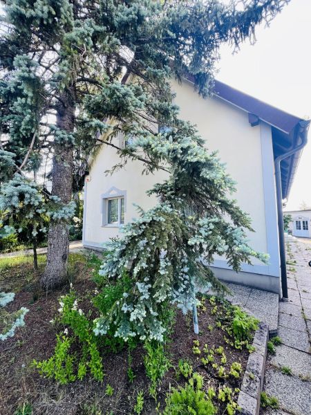 Einfamilienhaus mit viel Platz und Garten /  / 2551 Enzesfeld-Lindabrunn / Enzesfe / Bild 5