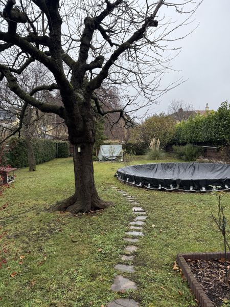 Ein seltenes Juwel in Bestlage von Mdling /  / 2340 Mdling / Bild 7