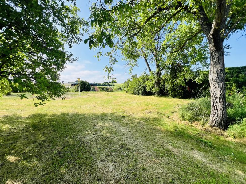 Baugrundstück Nr 2. in toller Lage / / 2551 Enzesfeld-Lindabrunn / Enzesfe / Bild 1