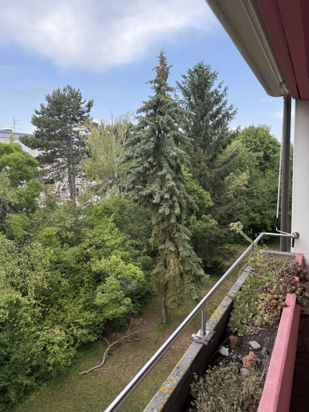 3 Zimmer + Balkon +Parkplatz / / 2344 Maria Enzersdorf / Südstadt / Bild 9