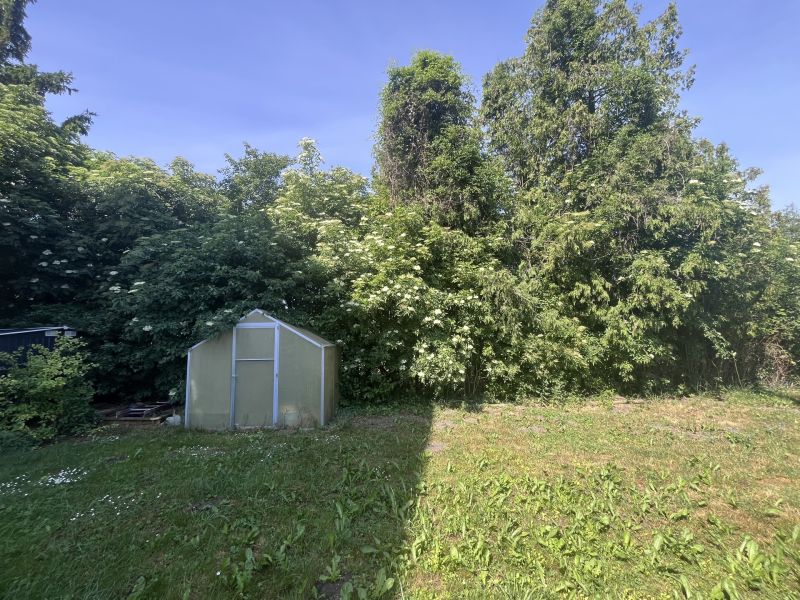 Dachgeschoßwohnung mit 200 m2 Garten / / 2512 Tribuswinkel / Bild 3