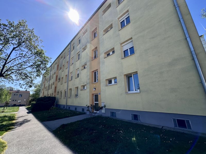 Modernisierte 3-Zimmer Wohnung mit Loggia in Wiener Neudorf /  / 2351 Wiener Neudorf / Bild 13