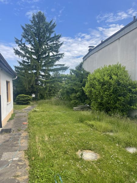 Top-Lage in Perchtoldsdorf ? Sanierungsbedrftiges Haus mit groem Potenzial /  / 2380 Perchtoldsdorf / Bild 8